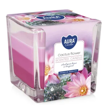 Tříbarevná vonná svíčka ve skle - Cactus Flower 170 g