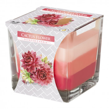 Tri-colored scented candle in glass - Cactus Flower